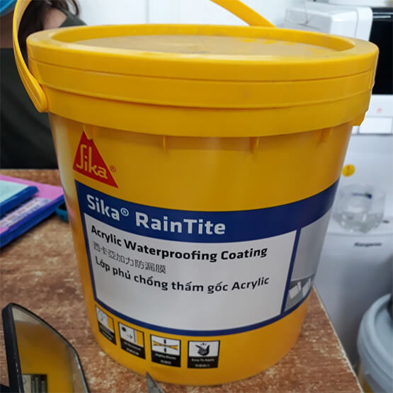 Sika Raintite 4kg